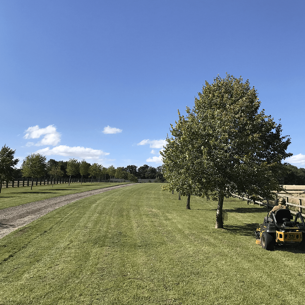 Mowing
